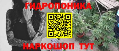 амф Краснодар