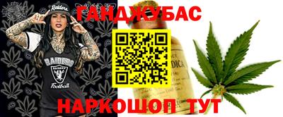 индика Краснознаменск