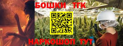 индика Краснознаменск